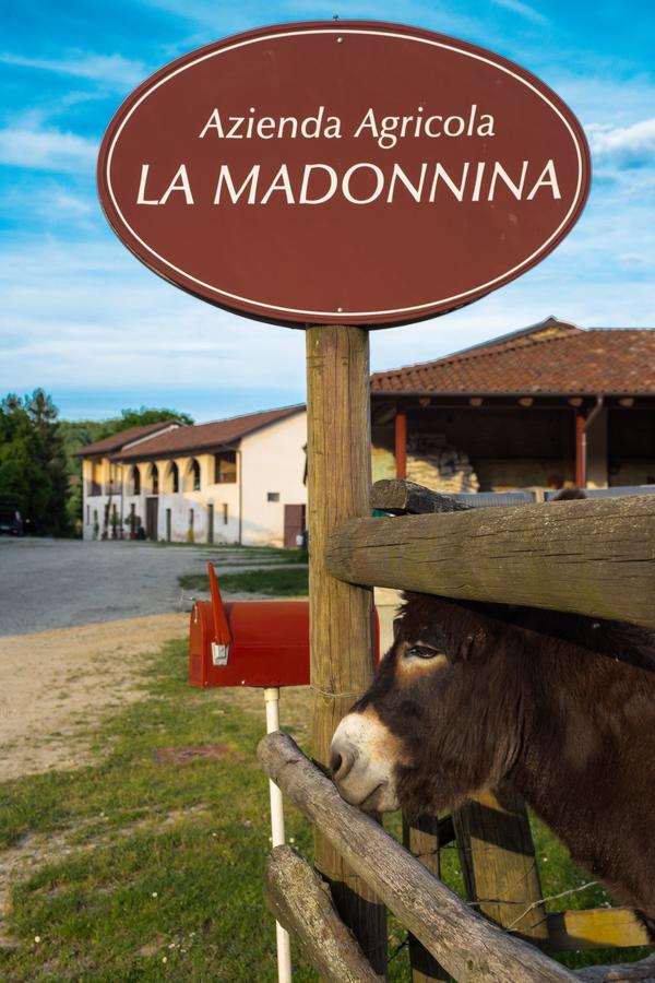 La Madonnina Agriturismo Dore อัลบา ภายนอก รูปภาพ